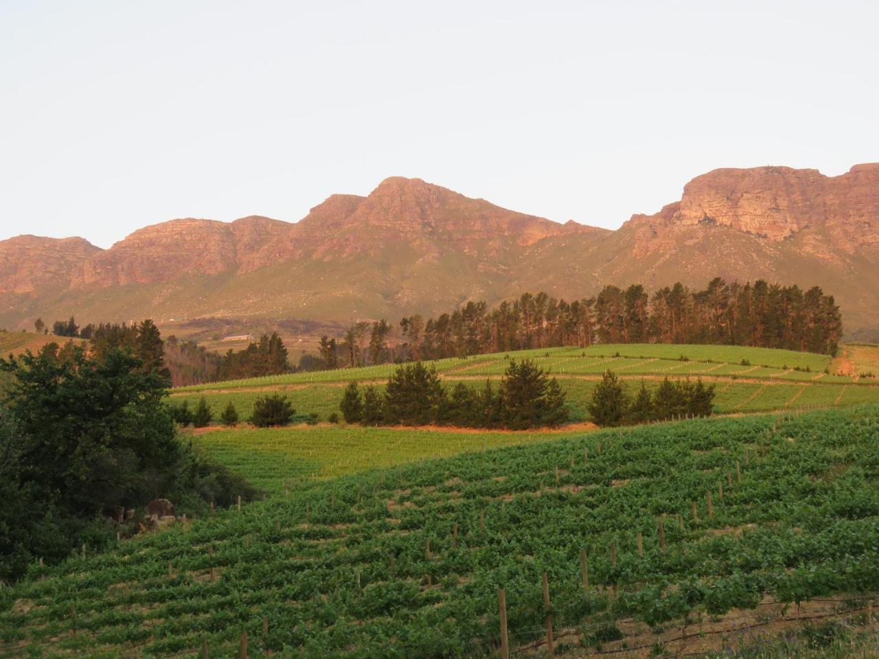 Modderkloof Farm *