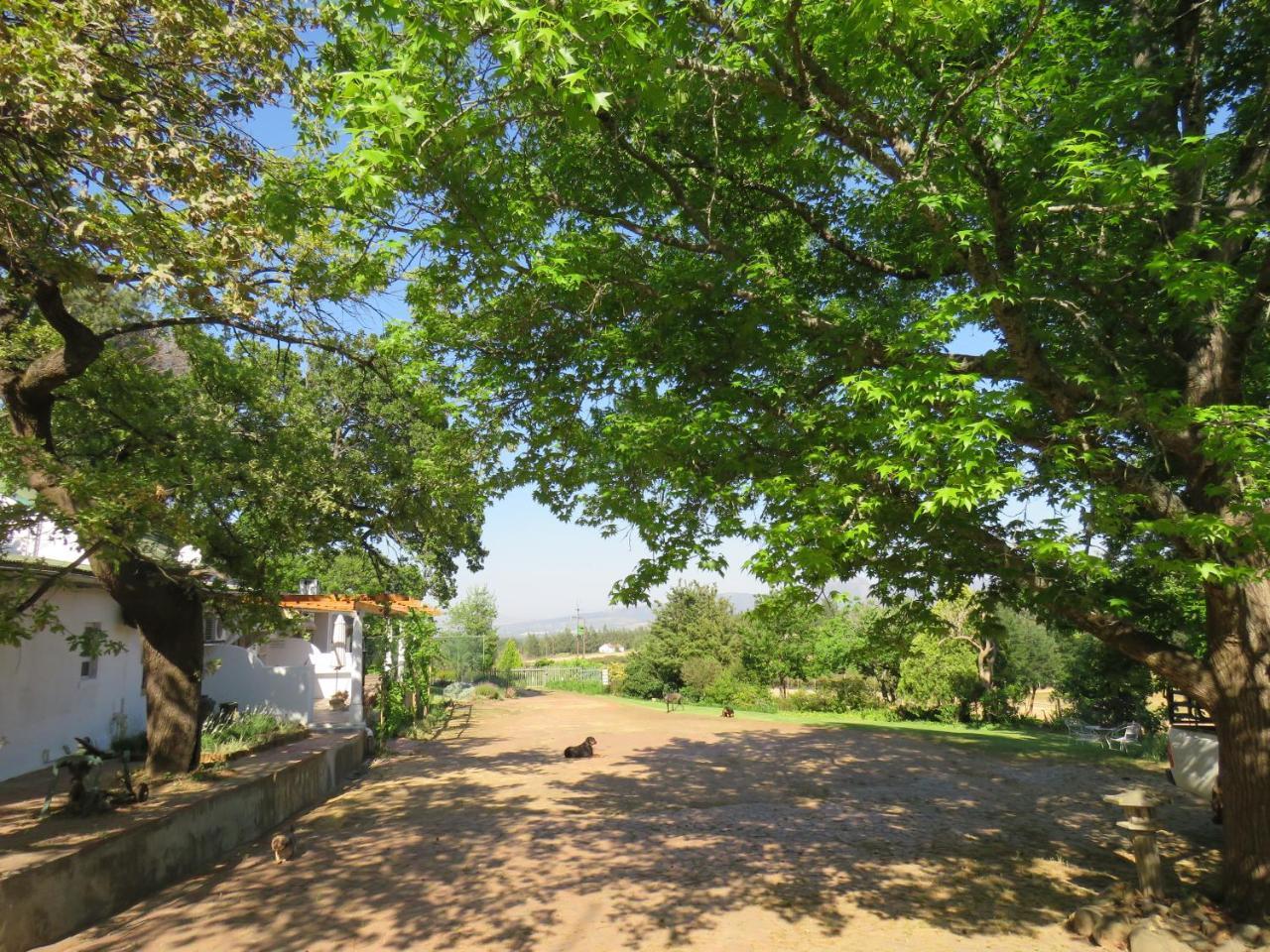 Modderkloof Farm *